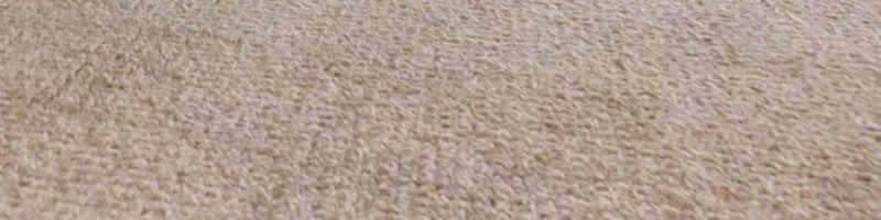 Carpet Care Instructions | Quality Flooring by Frank Milea